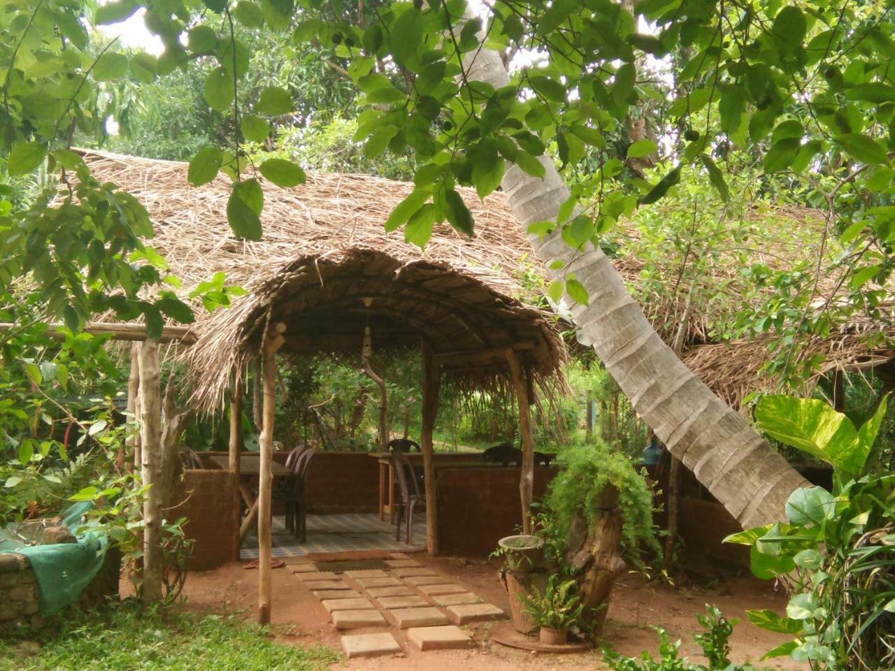 Gimanhala Cottage & Cookary Class Anuradhapura Kültér fotó